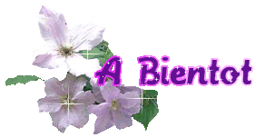 bon je vien de faire un nouveau vip blog
