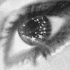 mon oeil flash sur un beau mec drôle