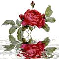 fleur